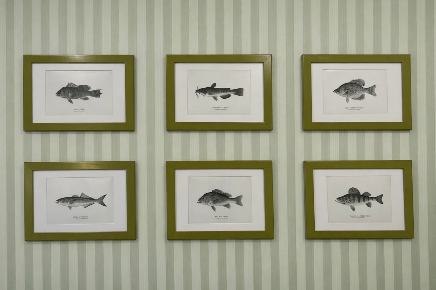 Set of six fish prints